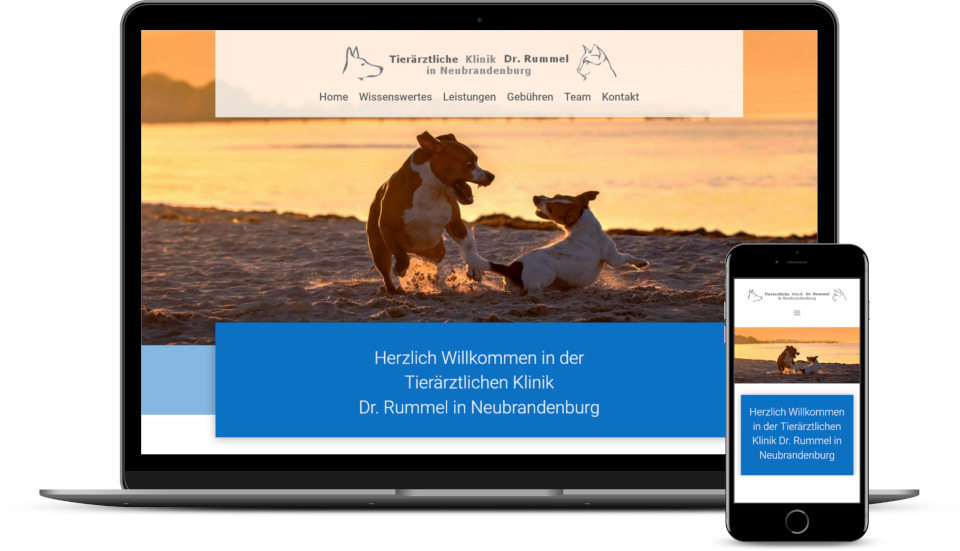 Kreative Website Erstellung Referenz Tierarztpraxis Webdesign